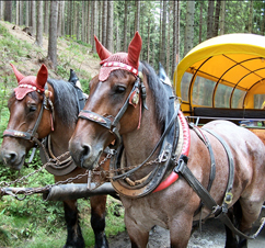 Clubtouren ab 10 Personen